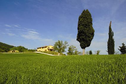 MOSTRA DEL TARTUFO